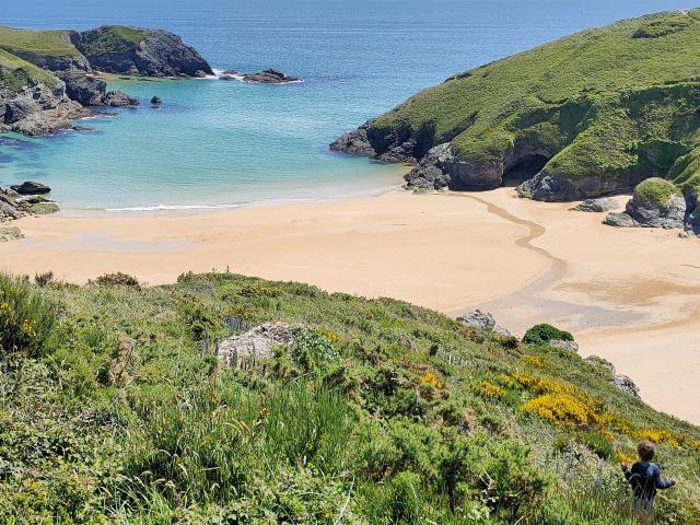 Nature - île photogénique, Plages - Partir à la plage, Randonner -autour de l'île,Belle île en mer, île de Bretagne, Bretagne sud, au large du Golfe du Morbihan