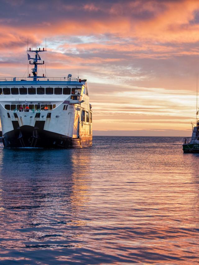 L'arrivée Au Port De Le Palais ©Fabien Giordano Bellimages