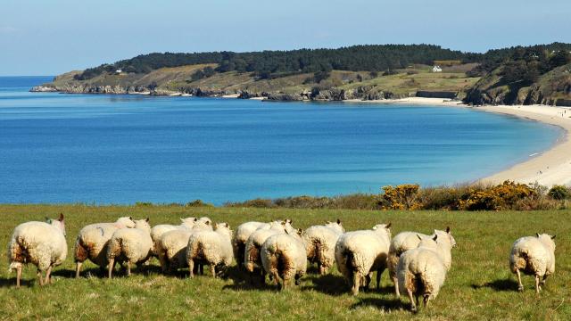 Déguster local, Nature - île photogénique,Belle île en mer, île de Bretagne, Bretagne sud, au large du Golfe du Morbihan