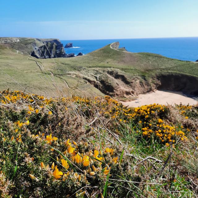 Océan - Profiter de l'Océan, Changer de rythme - déplacement doux, Randonner -autour de l'île, Plages - Partir à la plage, Belle île en mer, île de Bretagne, Bretagne sud, au large du Golfe du Morbihan