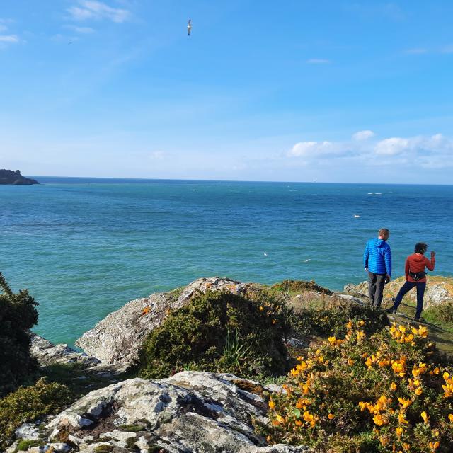 Randonner -autour de l'île, Nature - île photogénique, Belle île en mer, île de Bretagne, Bretagne sud, au large du Golfe du Morbihan