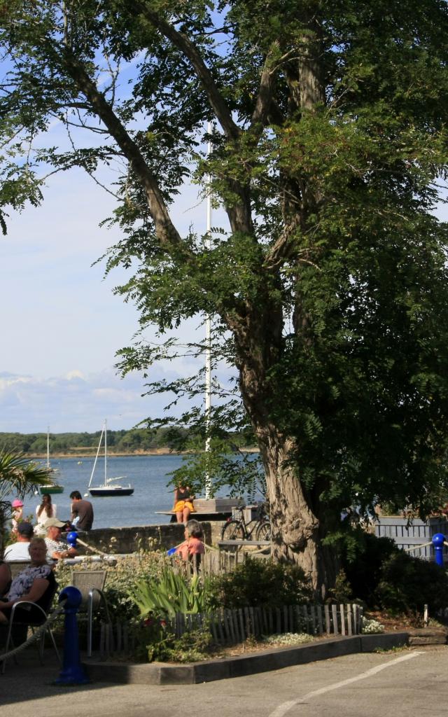 Au départ de Locmariaquer, à proximité de la Trinité-sur-Mer