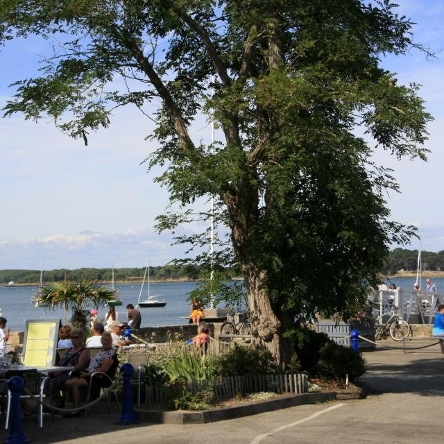 Au départ de Locmariaquer, à proximité de la Trinité-sur-Mer