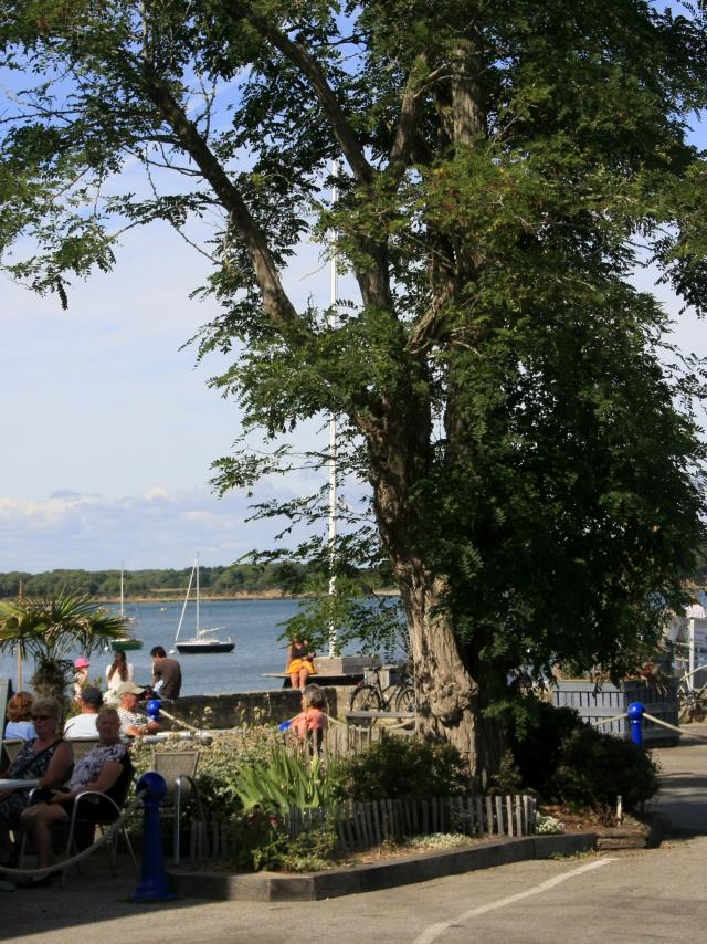 Au départ de Locmariaquer, à proximité de la Trinité-sur-Mer