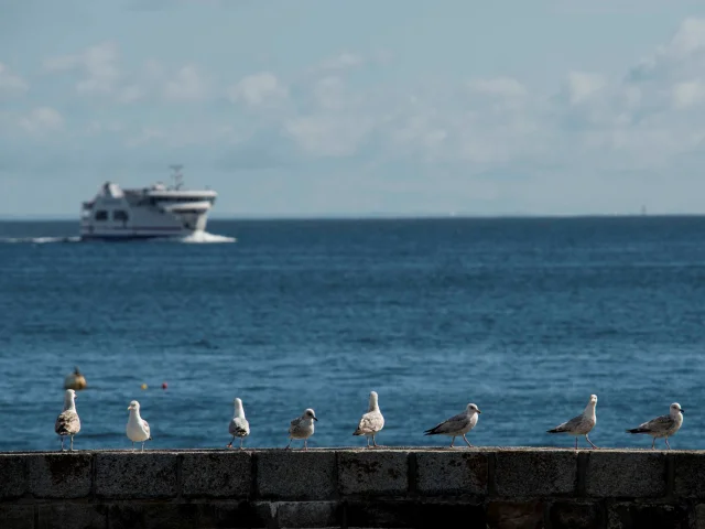 Venir à Belle-Île, traversées lignes régulières,Belle île en mer, île de Bretagne, Bretagne sud, au large du Golfe du Morbihan