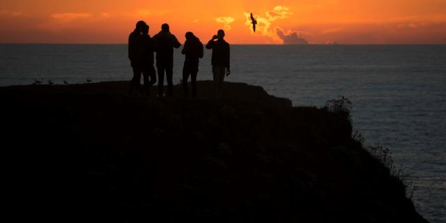 Randonner -autour de l'île, Océan - Profiter de l'Océan, Nature - île photogénique, Belle île en mer, île de Bretagne, Bretagne sud, au large du Golfe du Morbihan