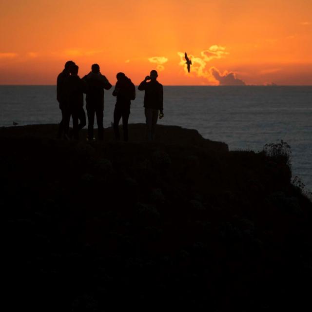 Randonner -autour de l'île, Océan - Profiter de l'Océan, Nature - île photogénique, Belle île en mer, île de Bretagne, Bretagne sud, au large du Golfe du Morbihan