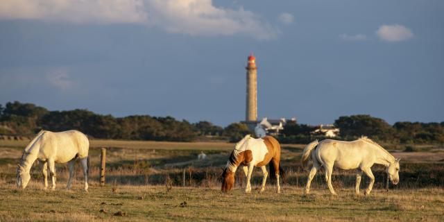 Histoire - Patrimoine bâti, Changer de rythme - déplacement doux, Belle île en mer, île de Bretagne, Bretagne sud, au large du Golfe du Morbihan