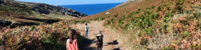 Randonner autour de l'île, Nature île photogénique, Changer de rythme-déplacement doux-déconnexion