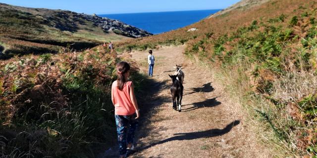 Randonner autour de l'île, Nature île photogénique, Changer de rythme-déplacement doux-déconnexion