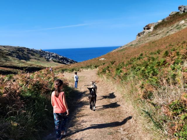 Randonner autour de l'île, Nature île photogénique, Changer de rythme-déplacement doux-déconnexion