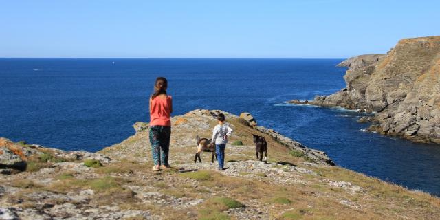 Océan - Profiter de l'Océan, Randonner autour de l'île, Nature île photogénique, Belle île en mer, île de Bretagne, Bretagne sud, au large du Golfe du Morbihan