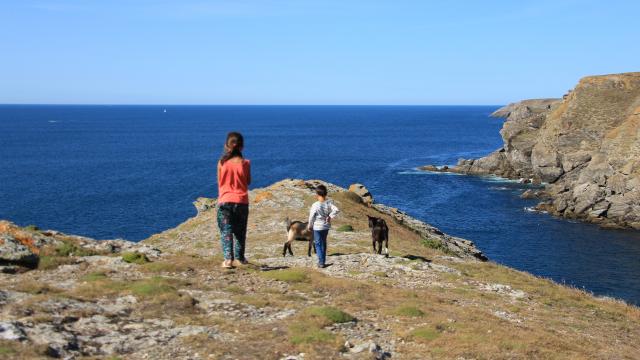 Océan - Profiter de l'Océan, Randonner autour de l'île, Nature île photogénique, Belle île en mer, île de Bretagne, Bretagne sud, au large du Golfe du Morbihan