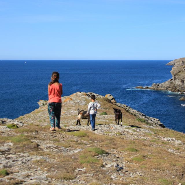 Océan - Profiter de l'Océan, Randonner autour de l'île, Nature île photogénique, Belle île en mer, île de Bretagne, Bretagne sud, au large du Golfe du Morbihan