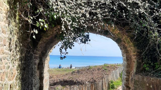 Nature Plage De Bordardoué Le Palais Printemps Fortifications ©karine Piquet 2021