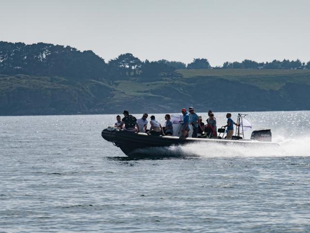 plaisance, Nature - île photogénique, Océan - Profiter de l'Océan, Belle île en mer, île de Bretagne, Bretagne sud, au large du Golfe du Morbihan