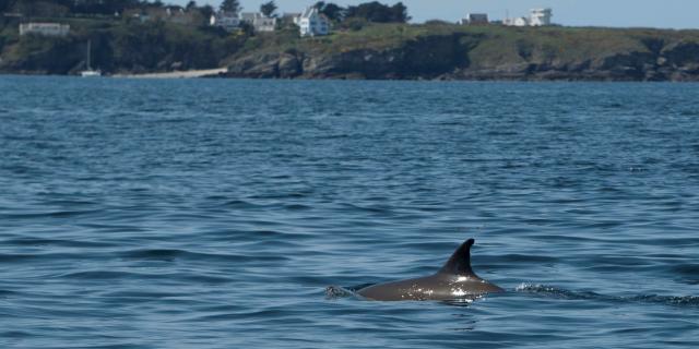 plaisance, Nature - île photogénique, Océan - Profiter de l'Océan