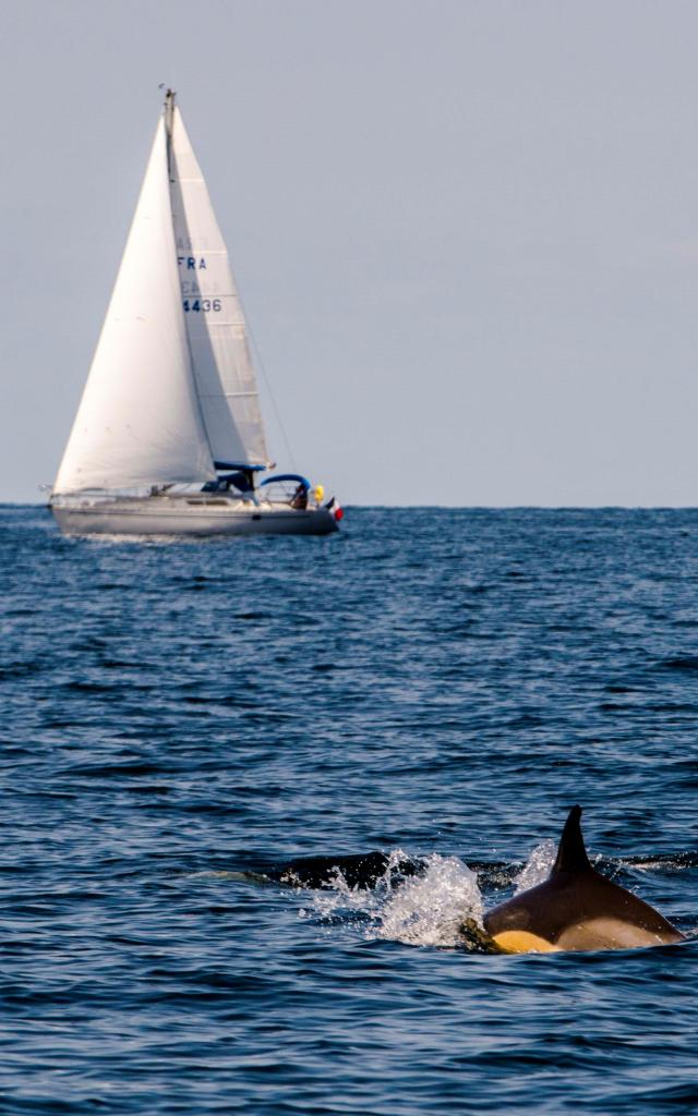 plaisance, Nature - île photogénique, Océan - Profiter de l'Océan