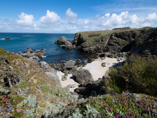 Plages Les Poulains Sauzon Printemps Sarah Bernhardt ©fabien Giordano Bellimages 2019