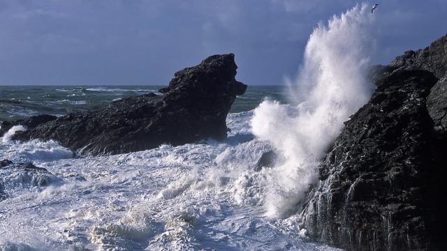 Nature île Photogénique, Océan, Rocher Du Chien, Belle île en mer, île de Bretagne, Bretagne sud, au large du Golfe du Morbihan