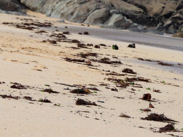 Nature - île photogénique Océan - Profiter de l'Océan Plages - Partir à la plage, Belle île En Mer, île De Bretagne, Bretagne Sud, Au Large Du Golfe Du Morbihan