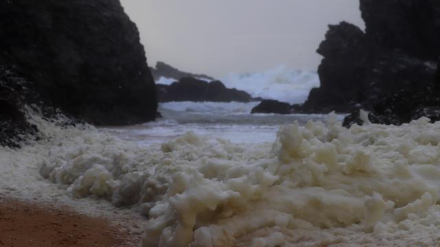 Nature - île photogénique Océan - Profiter de l'Océan Plages - Partir à la plage, Belle île En Mer, île De Bretagne, Bretagne Sud, Au Large Du Golfe Du Morbihan