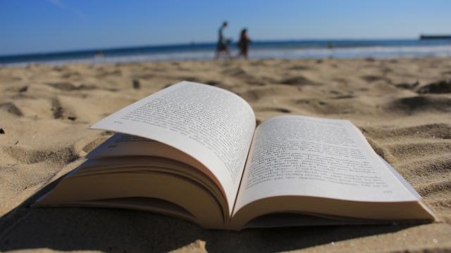 Que lire avant le voyage ? Tout pour s'immerger à Belle-île avant votre séjour, à Belle-île la plus grand des îles bretonnes, en Bretagne Sud