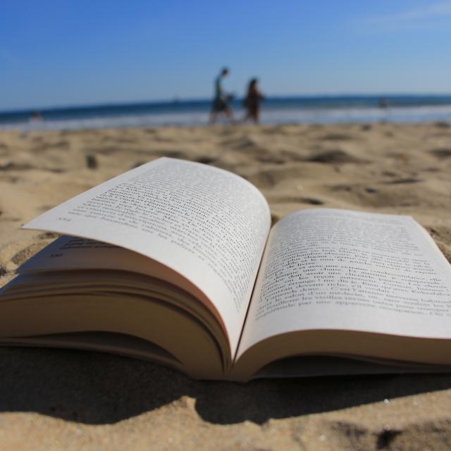 Que lire avant le voyage ? Tout pour s'immerger à Belle-île avant votre séjour, à Belle-île la plus grand des îles bretonnes, en Bretagne Sud