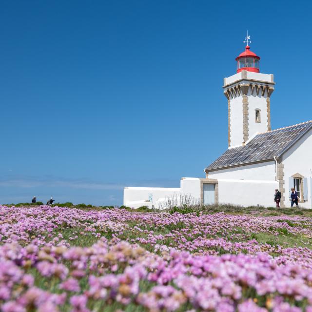 Belle île En Mer, île De Bretagne, Bretagne Sud, Au Large Du Golfe Du Morbihan