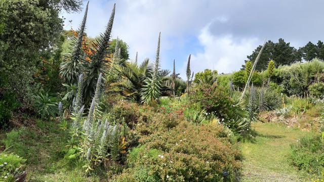 Nature Une Ile Photogénique Les Jardins La Laurisylve Le Palais ©karine Piquet