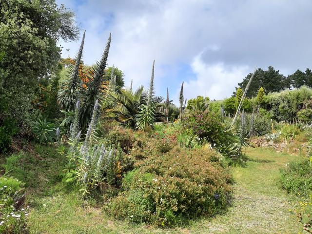 Nature Une Ile Photogénique Les Jardins La Laurisylve Le Palais ©karine Piquet