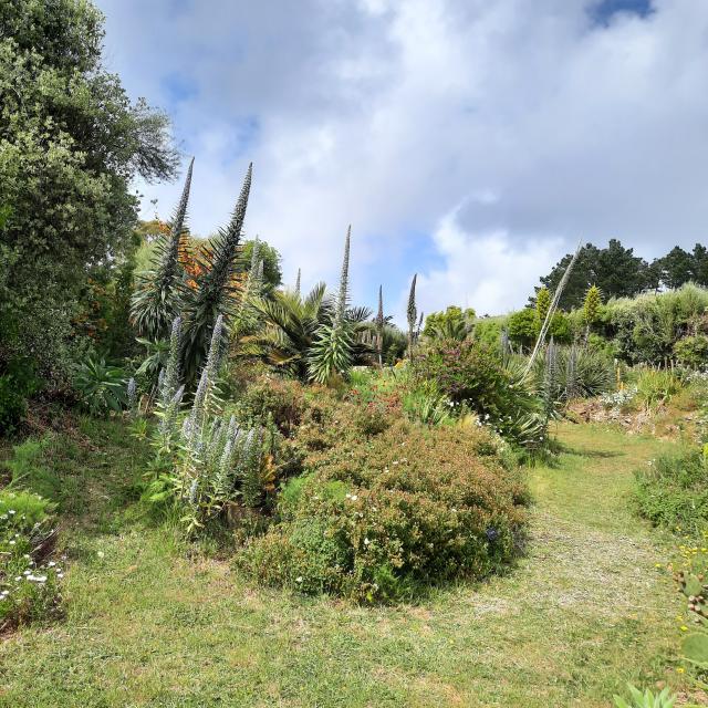 Nature Une Ile Photogénique Les Jardins La Laurisylve Le Palais ©karine Piquet