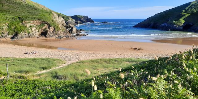 Herlin, plus qu'une plage : un site naturel unique à Belle-île ! Bienvenue sur la plus grande des îles bretonnes, Bretagne Sud