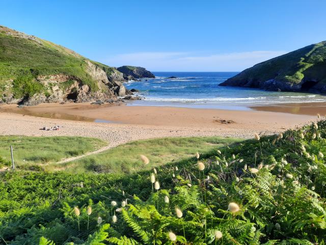 Herlin, plus qu'une plage : un site naturel unique à Belle-île ! Bienvenue sur la plus grande des îles bretonnes, Bretagne Sud