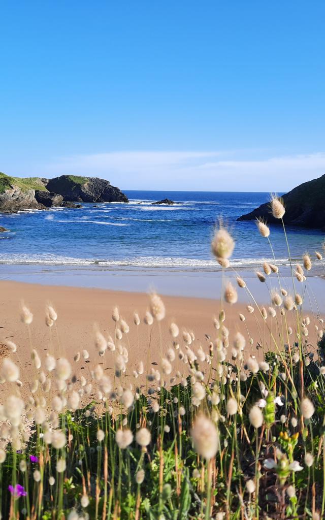 Herlin, plus qu'une plage : un site naturel unique à Belle-île ! La plus grande des îles bretonnes, Bretagne Sud