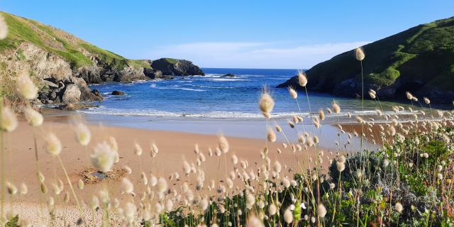 Herlin, plus qu'une plage : un site naturel unique à Belle-île ! La plus grande des îles bretonnes, Bretagne Sud