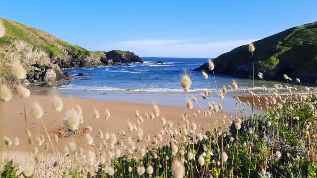 Herlin, plus qu'une plage : un site naturel unique à Belle-île ! La plus grande des îles bretonnes, Bretagne Sud