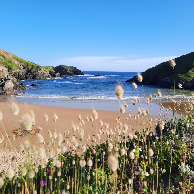 Herlin, plus qu'une plage : un site naturel unique à Belle-île ! La plus grande des îles bretonnes, Bretagne Sud