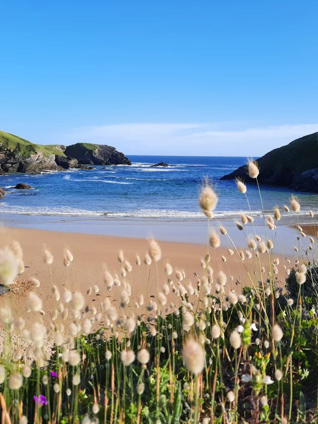 Herlin, plus qu'une plage : un site naturel unique à Belle-île ! La plus grande des îles bretonnes, Bretagne Sud