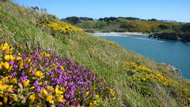 Nature - île photogénique Océan - Profiter de l'Océan, Bretagne Sud Belle Ile En Mer Morbihan