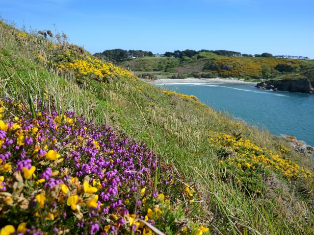 bretagne-sud-belle-ile-en-mer-morbihan-plage-sauzon-ster-vraz-1-loup-samzun.jpg