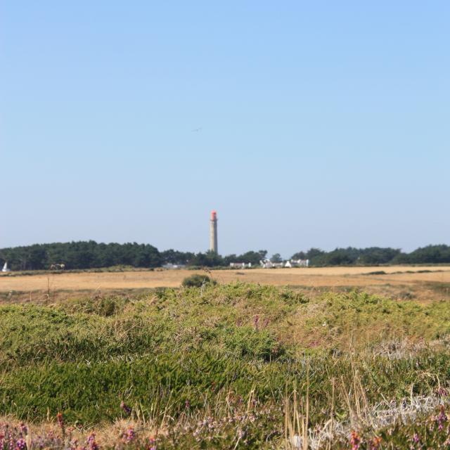 port-coton-grand-phare.jpg