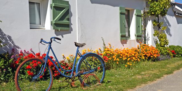 Location vélo électrique belle ile en fashion mer