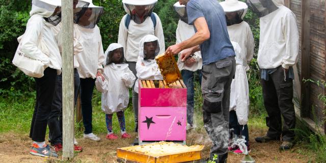 Visite Le Rucher De L'abeille Noire ©bellimages Fabien Giordano